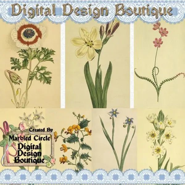 Download - Wildflower Vintage Images 1 - Printable Heaven