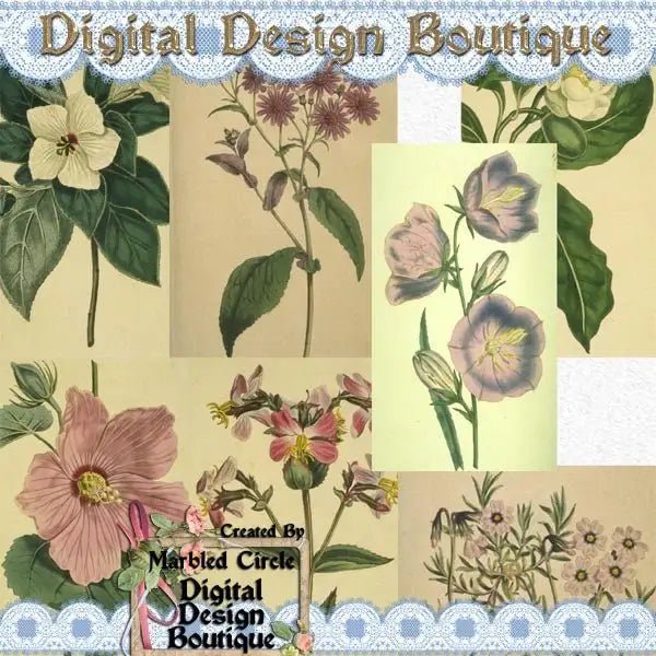 Download - Wildflower Vintage Images 2 - Printable Heaven