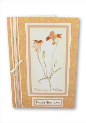 Download - Set - Wild Flowers Motifs 2