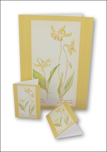 Download - Set - Wild Flowers Notecards 1 - Printable Heaven