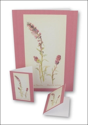 Download - Set - Wild Flowers Notecards 2