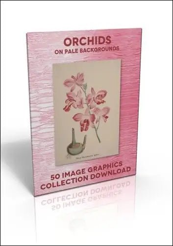 Download - 50 Image Graphics Collection - Orchids (on pale backgrounds) - Printable Heaven