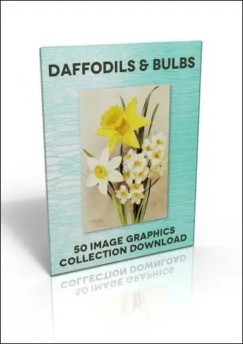 Download - 50 Image Graphics Collection - Daffodils & Bulbs - Printable Heaven