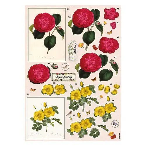A4 Decoupage Pack - Botanicals (PMA DCM 030) - Printable Heaven