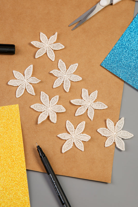 Ivory Flower Lace Appliques (7pcs) (RT10656)