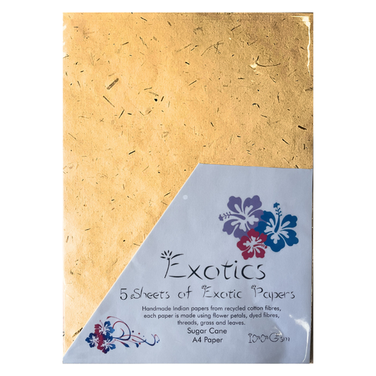 Exotics Sugar Cane Paper 5 Pack (ZP401612 )