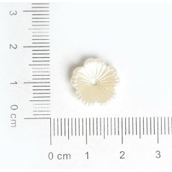 Cupped Pearl Flowers - Ivory (100pcs)