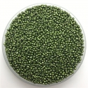 2mm Seed Beads - Metallic Christmas Green (1000pcs)