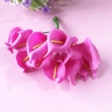 Foam Calla Lilies - Fuchsia (Bunch of 12)