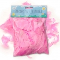Decorative Feathers Pink 20g (EAS4764)