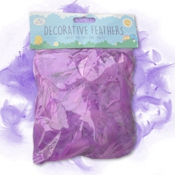 Decorative Feathers Purple 20g (EAS4764)