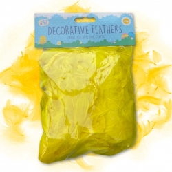 Decorative Feathers Yellow 20g (EAS4764)