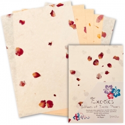 Exotics Mixed Petals Paper 5 Sheets (ZP401513)