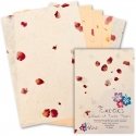 Mixed Petals Paper 5 Sheets (ZP401513)