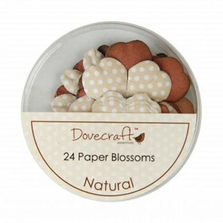 Dovecraft Blossom Box - Natural (DCBB01)