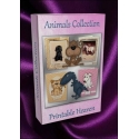 DVD - Animals Collection