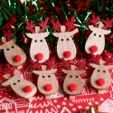 Rudolph And Red Nose Clips 8 Pack (XMA4027)