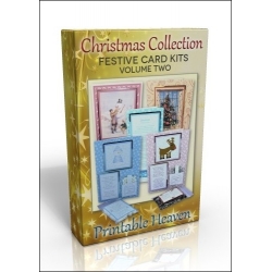 DVD - Festive Card Kits Collection - Volume 2