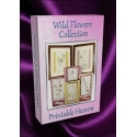 DVD - Wild Flowers Collection
