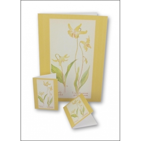 Download - Set - Wild Flowers Notecards 1