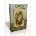 Public Domain Image DVD - Owls