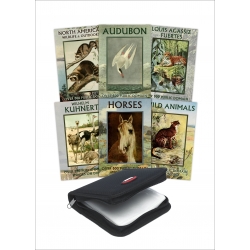 Public Domain 6 DVD Collection - Animals & Wildlife