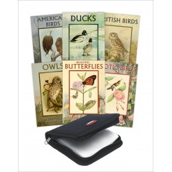 Public Domain 6 DVD Collection - Birds & Butterflies