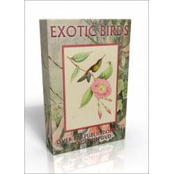 Public Domain Image DVD - Exotic Birds