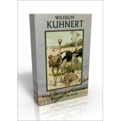 Public Domain Image DVD - Wilhelm Kuhnert Animals & Birds