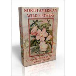 Public Domain Image DVD - North American Wild Flowers