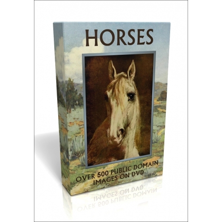 Public Domain Image DVD - Horses