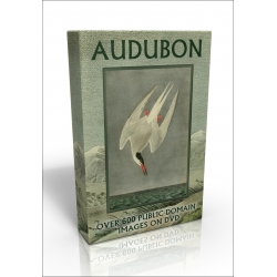 Public Domain Image DVD - Audubon Animals & Birds