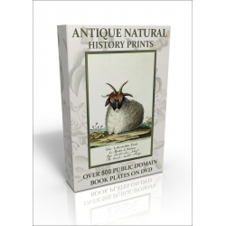 Public Domain Image DVD - Antique Natural History Prints
