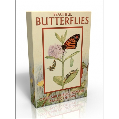 Public Domain Image DVD - Beautiful Butterflies