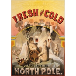 Download - Postcard - Fresh and Cold