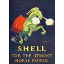 Download - Postcard - Shell