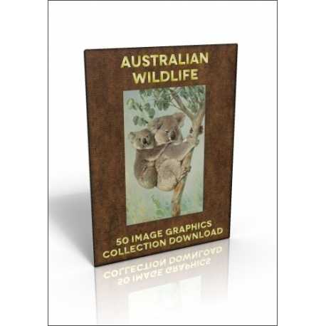 Download - 50 Image Graphics Collection - Australian Wildlife