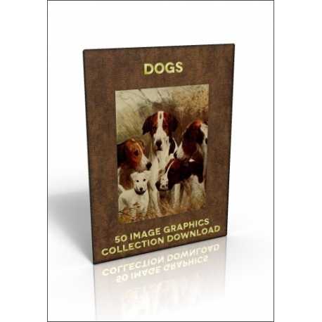 Download - 50 Image Graphics Collection - Dogs