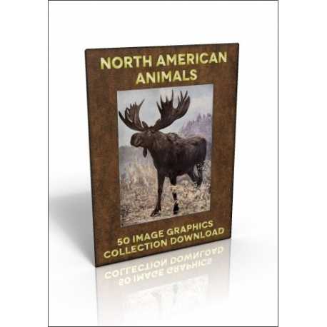 Download - 50 Image Graphics Collection - North American Animals