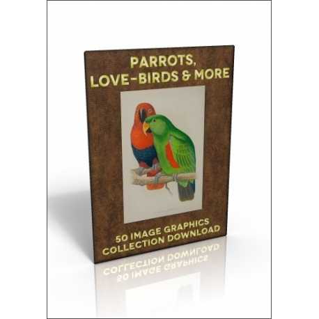 Download - 50 Image Graphics Collection - Parrots, Love-birds &