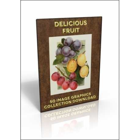 Download - 50 Image Graphics Collection - Delicious Fruit