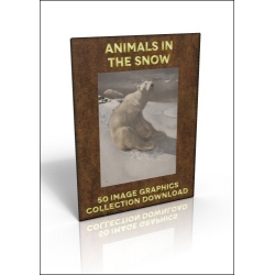 Download - 50 Image Graphics Collection - Animals in the Snow