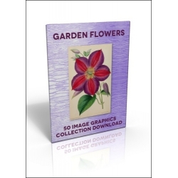 Download - 50 Image Graphics Collection - Garden Flowers