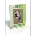 Download - 50 Image Graphics Collection - Orchids (on dark backgrounds)