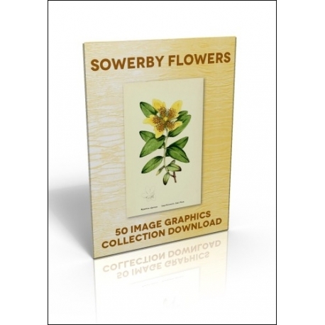 Download - 50 Image Graphics Collection - Sowerby Flowers