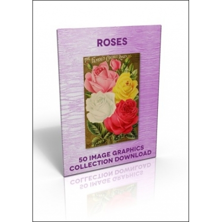 Download - 50 Image Graphics Collection - Roses