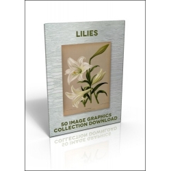 Download - 50 Image Graphics Collection - Lilies