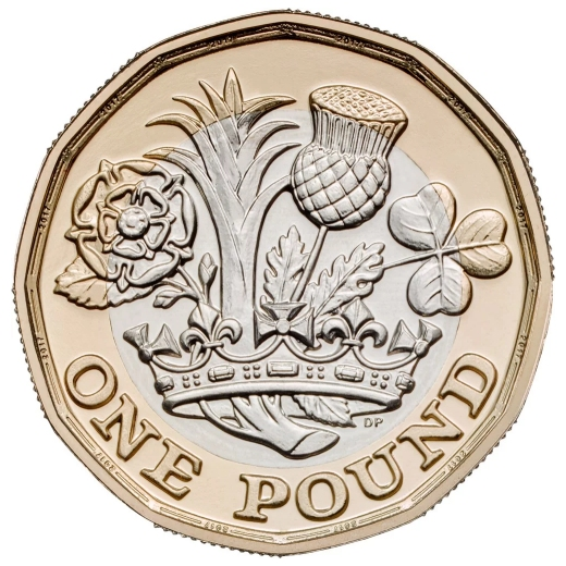 One Pound Coin