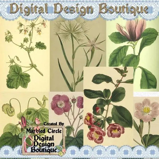 Download - Wildflower Vintage Images 3 - Printable Heaven