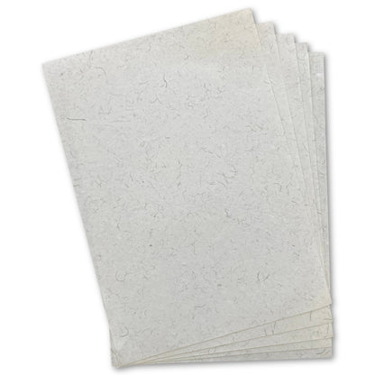 Exotics Grass Paper 5 Sheets (ZP401810)